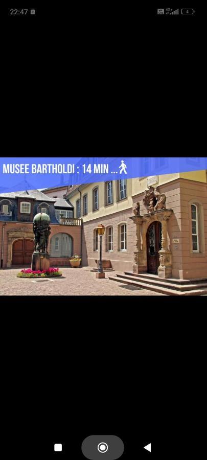 Refuge Ladhof Odysalis I Chic-Moderne-Proche Du Centre-Ville 3 Pieces 2 Chambres 科尔马 外观 照片