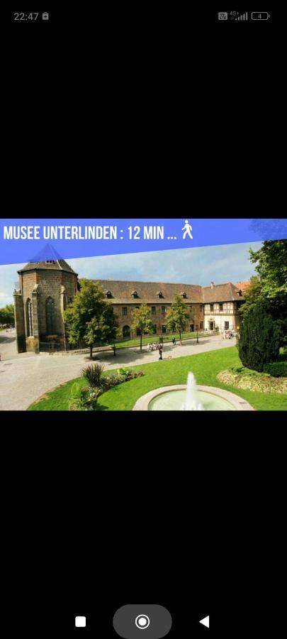 Refuge Ladhof Odysalis I Chic-Moderne-Proche Du Centre-Ville 3 Pieces 2 Chambres 科尔马 外观 照片